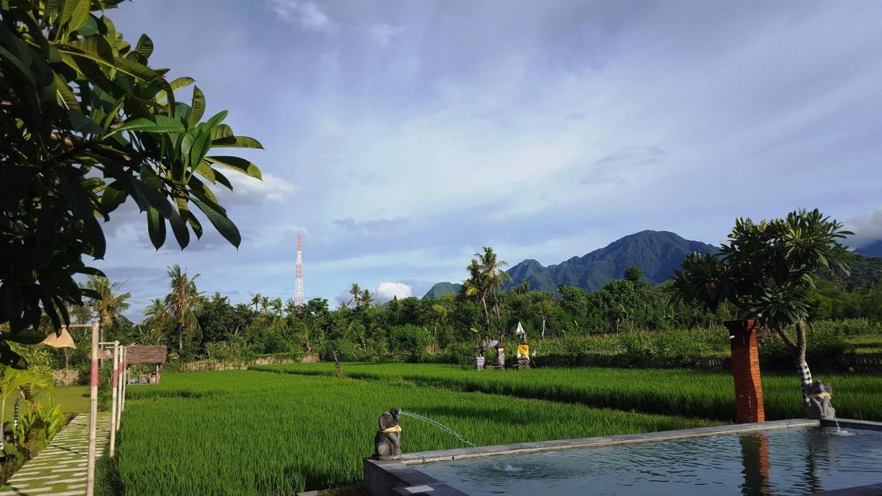 Umma Bali Menjangan Retreat Hotell Banyuwedang Exteriör bild
