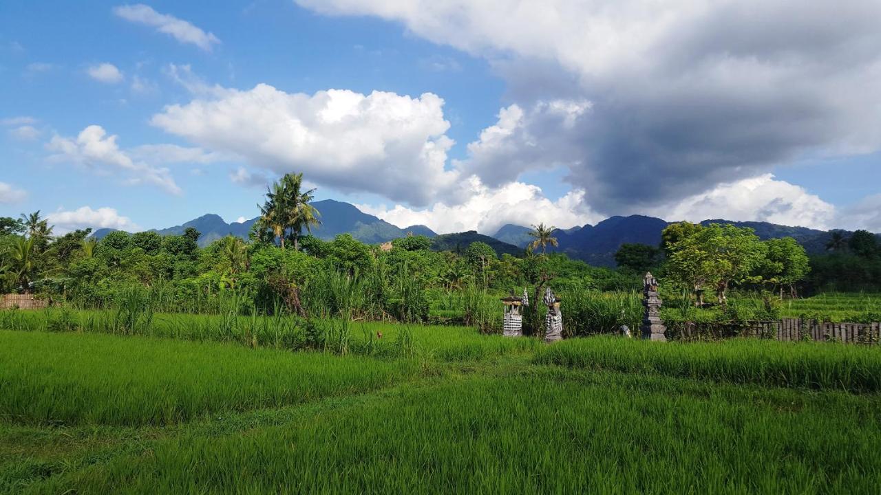 Umma Bali Menjangan Retreat Hotell Banyuwedang Exteriör bild