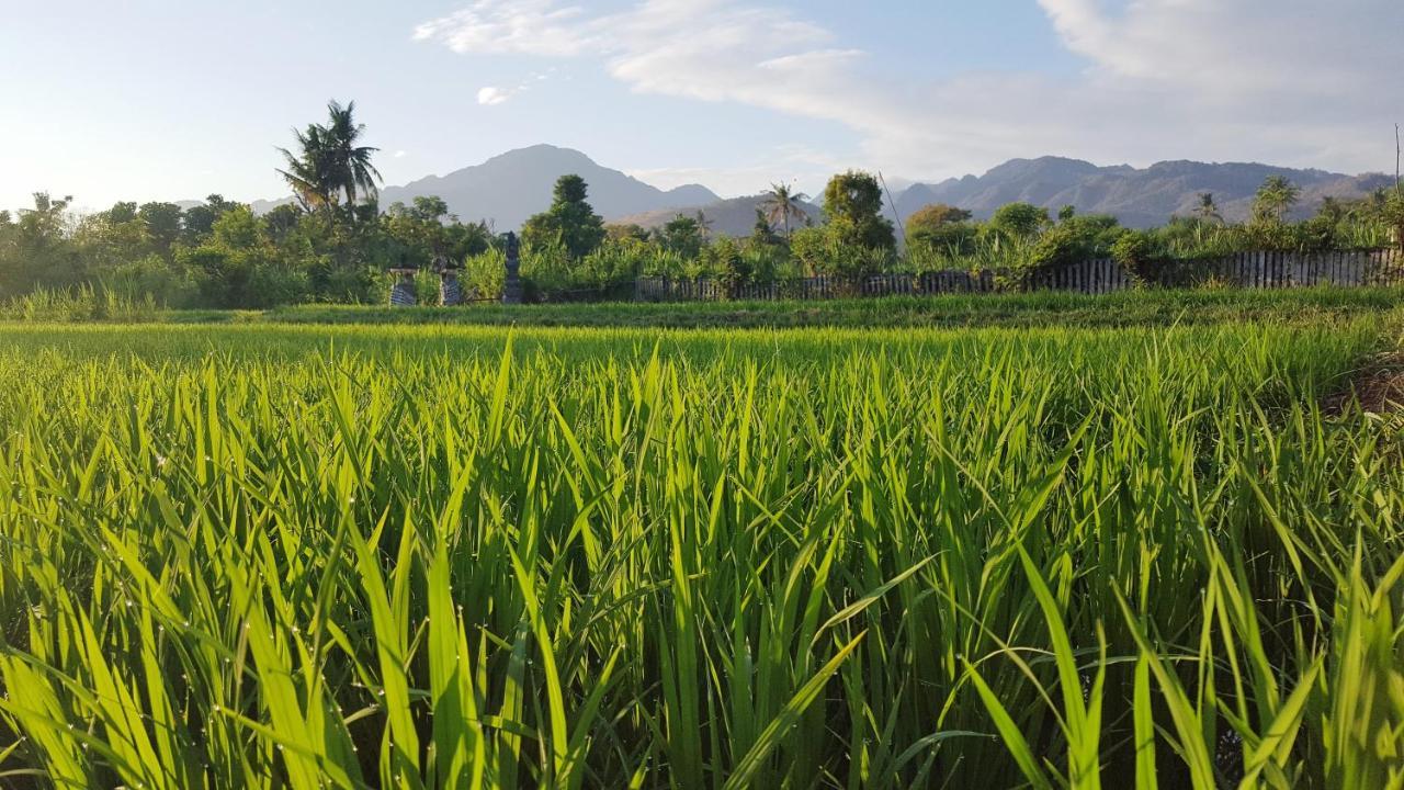 Umma Bali Menjangan Retreat Hotell Banyuwedang Exteriör bild