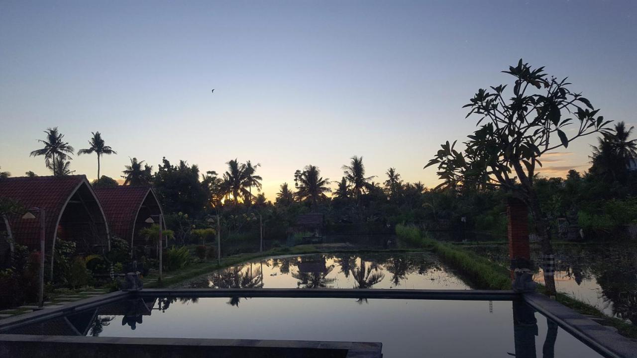 Umma Bali Menjangan Retreat Hotell Banyuwedang Exteriör bild