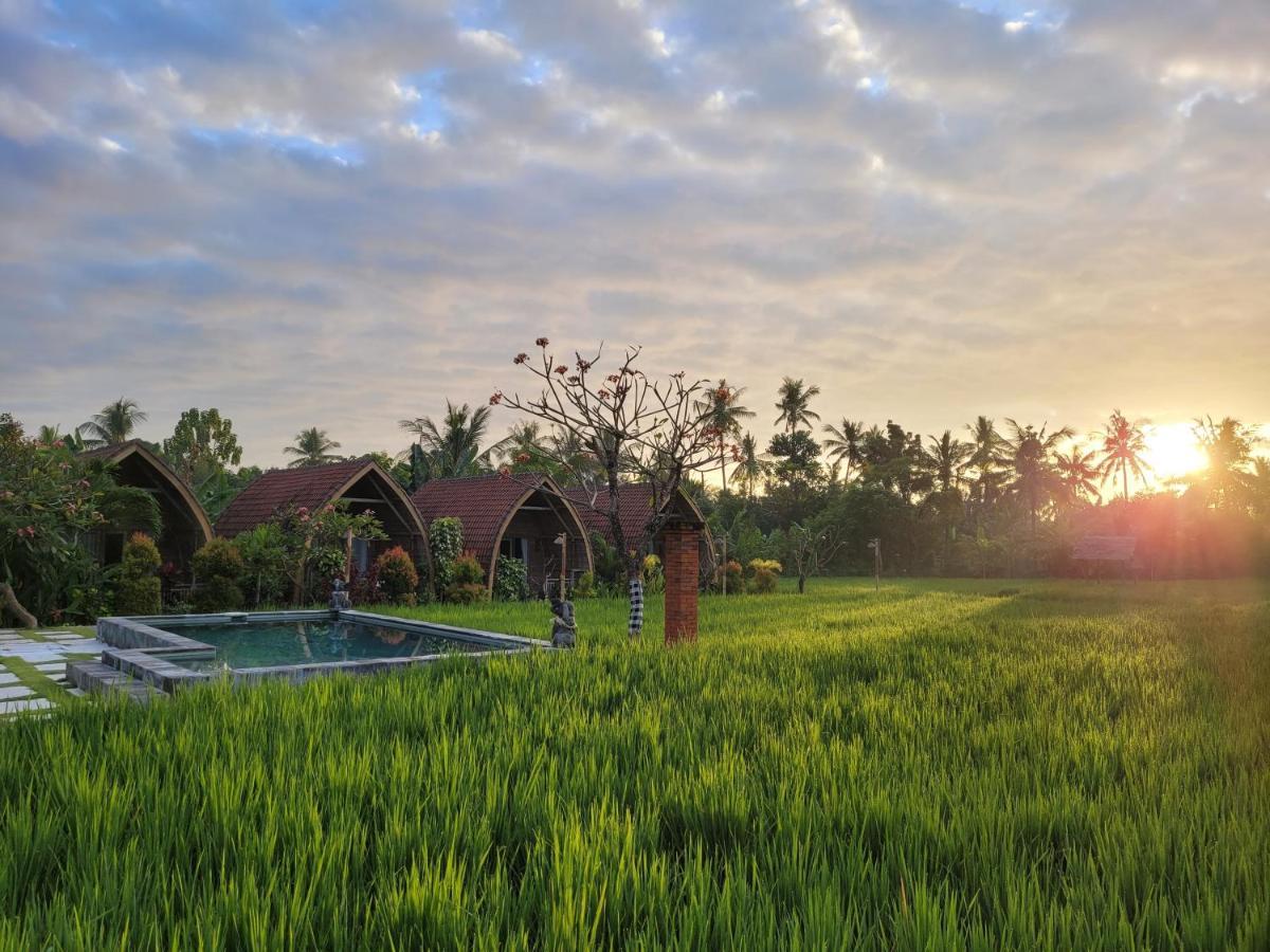 Umma Bali Menjangan Retreat Hotell Banyuwedang Exteriör bild